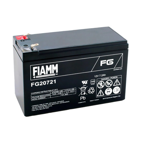 FIAMM FG20721 Batteria Al...
