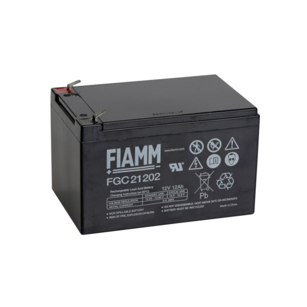 FIAMM FGC21202 Batteria Al Piombo 12V 12Ah