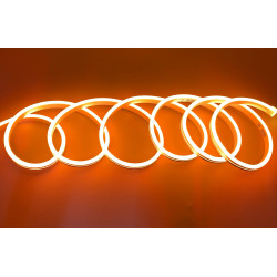 Striscia LED Neon...