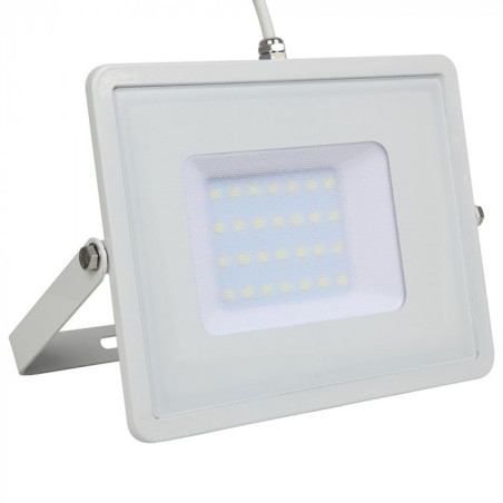 Faro Bianco LED IP65 30W...