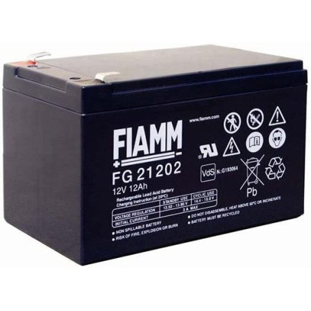 FIAMM FG21202 Batteria Al...