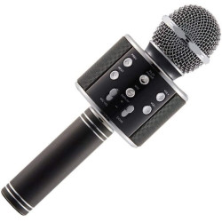 Microfono Portatile Wireless Con Bluetooth Karaoke Cassa Integrata Ws-1816  